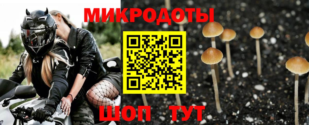 Кириши  Псилоцибиновые грибы Cubensis  Вход с VPN  Галлюциногенные грибы MAGIC MUSHROOMS 
