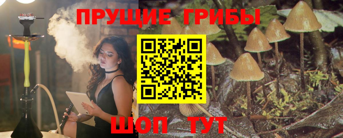 Галлюциногенные грибы мицелий Кириши